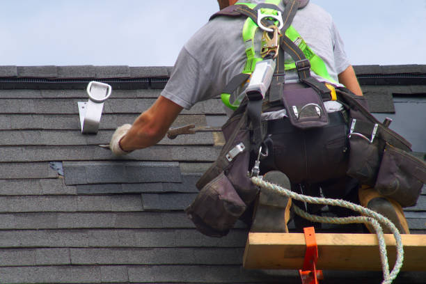 Best Storm Damage Roof Repair  in Petal, MS