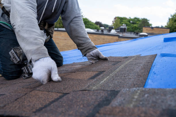 Roof Installation Near Me in Petal, MS