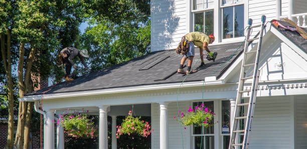 Best Storm Damage Roof Repair  in Petal, MS